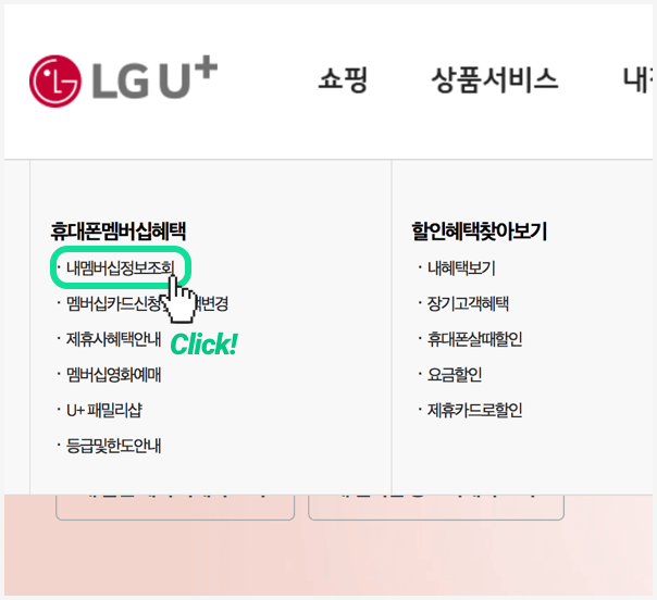 LG 유플러스 웹사이트 잔여 포인트와 등급 조회 방법