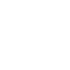 twitter icon
